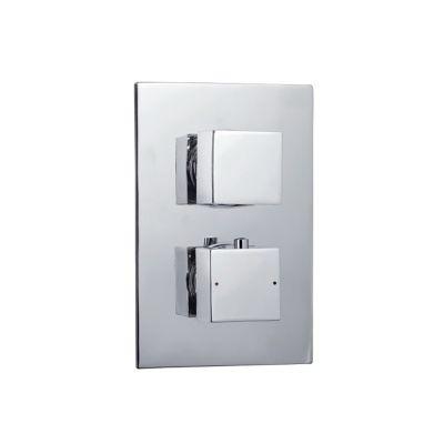 Encore Concealed Valve Dual Two Outlet