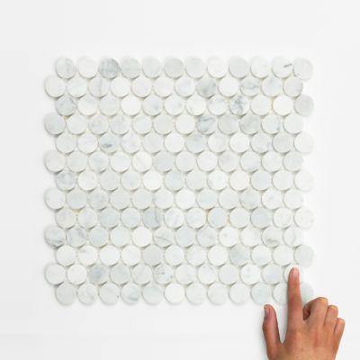 Bianco Carrara Penny Honed Marble Mosaic 31.5x29.5cm