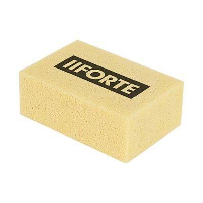 FORTE Hydro Sponge